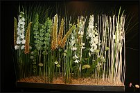 www.floristic.ru - .        EUROFLEURS 2008