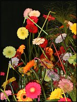 www.floristic.ru - .        EUROFLEURS 2008