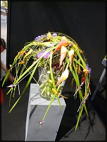 www.floristic.ru - .        EUROFLEURS 2008