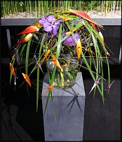 www.floristic.ru - .        EUROFLEURS 2008