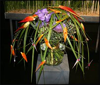 www.floristic.ru - .        EUROFLEURS 2008
