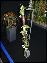 www.floristic.ru - .        EUROFLEURS 2008