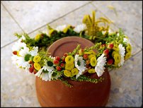 www.floristic.ru - .    