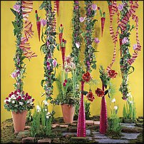 www.floristic.ru - .       - ?