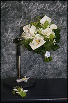 www.floristic.ru - .  - ""   ...