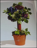 www.floristic.ru - . Step-by-step