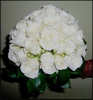 www.floristic.ru - .  .