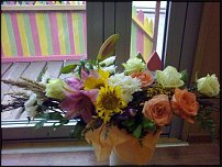 www.floristic.ru - .   