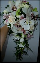 www.floristic.ru - .  .