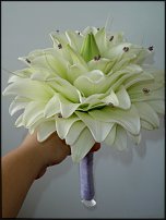 www.floristic.ru - .  .