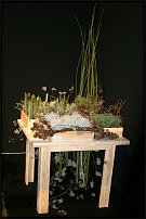 www.floristic.ru - .        EUROFLEURS 2008