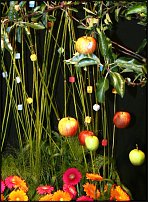 www.floristic.ru - .        EUROFLEURS 2008