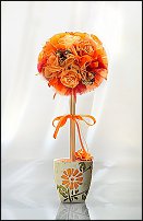 www.floristic.ru - .     -,  ..