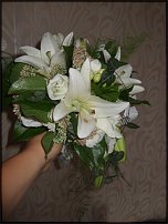 www.floristic.ru - .  .