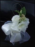 www.floristic.ru - .  