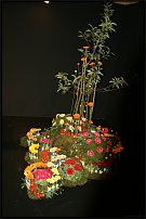 www.floristic.ru - .        EUROFLEURS 2008