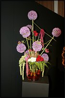 www.floristic.ru - .        EUROFLEURS 2008