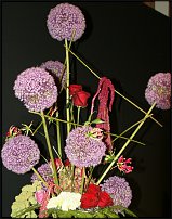 www.floristic.ru - .        EUROFLEURS 2008