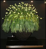 www.floristic.ru - .        EUROFLEURS 2008