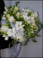 www.floristic.ru - .  .