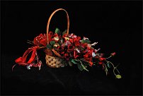 www.floristic.ru - .     -,  ..