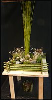 www.floristic.ru - .        EUROFLEURS 2008