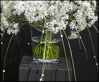 www.floristic.ru - .        EUROFLEURS 2008