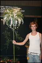 www.floristic.ru - .        EUROFLEURS 2008