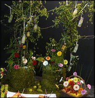 www.floristic.ru - .        EUROFLEURS 2008