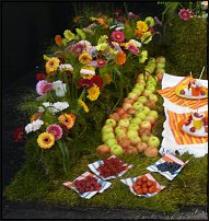 www.floristic.ru - .        EUROFLEURS 2008