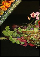 www.floristic.ru - .        EUROFLEURS 2008