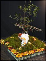 www.floristic.ru - .        EUROFLEURS 2008