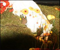 www.floristic.ru - .        EUROFLEURS 2008
