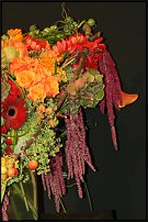 www.floristic.ru - .        EUROFLEURS 2008