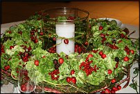 www.floristic.ru - .  .