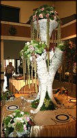 www.floristic.ru - .  .