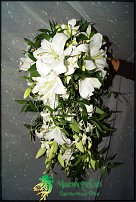 www.floristic.ru - .  .