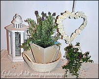 www.floristic.ru - . "shabby shick"    ...