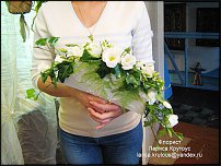 www.floristic.ru - .  .