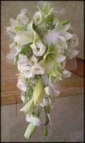 www.floristic.ru - .  .