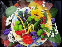 www.floristic.ru - .   1 