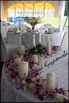 www.floristic.ru - .  .