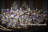 www.floristic.ru - .  .