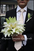 www.floristic.ru - .  .