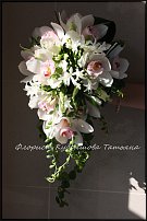 www.floristic.ru - .  .