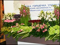 www.floristic.ru - .    (, - )