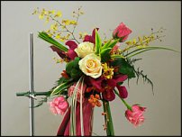 www.floristic.ru - .    (, - )