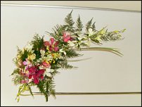 www.floristic.ru - .    (, - )