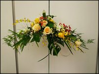 www.floristic.ru - .    (, - )