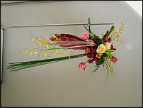 www.floristic.ru - .    (, - )